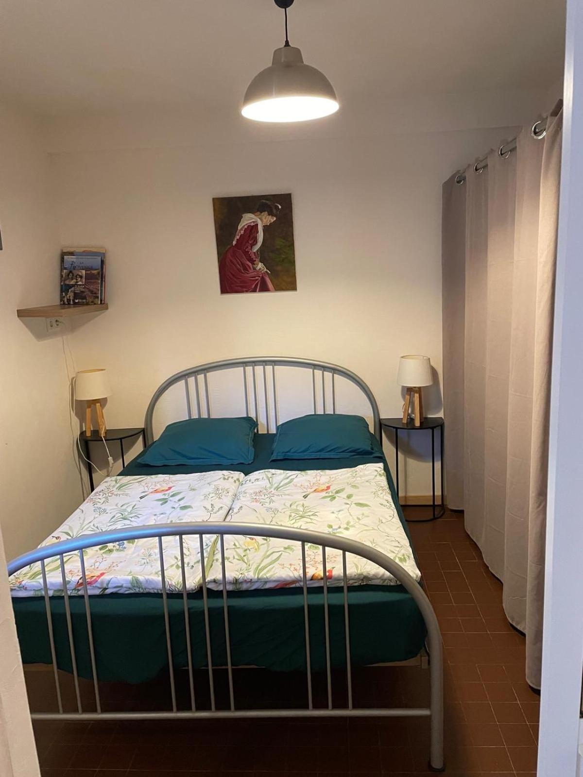 Appartement De Plain-Pied Avec Jardin Αβινιόν Εξωτερικό φωτογραφία